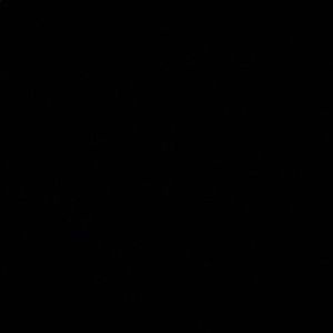 Meet your Posher, Jami